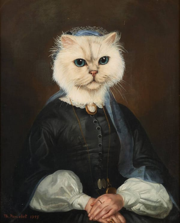 Кошка, когда узнала сколько стоят ее корма