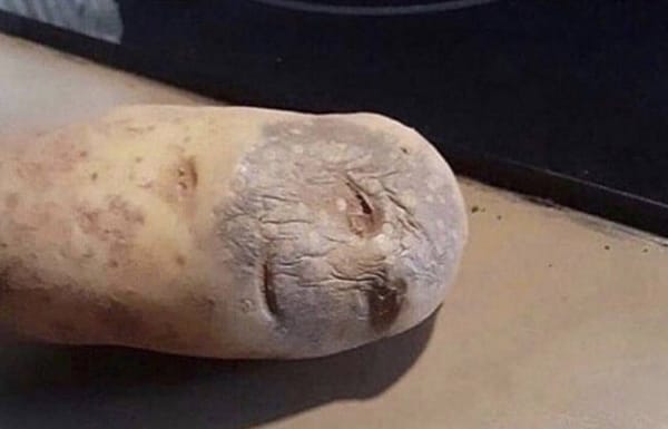 — Но тогда… — Гарри взглянул через плечо на крошечное искалеченное существо под стулом. — Что это, профессор? — Этому ни ты, ни я не можем помочь, — ответил Дамблдор
