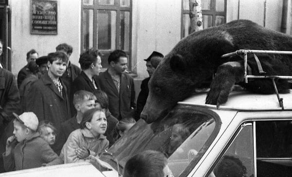 Возвращение с охоты