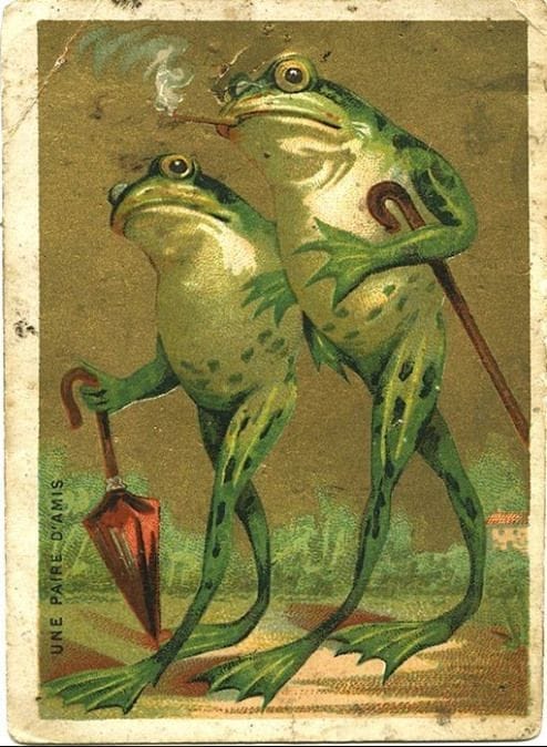 It is Wednesday my dudes