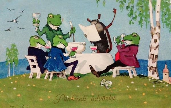 It is Wednesday my dudes