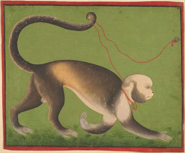 Обезьянка из Удайпура, Индия, 1705 год