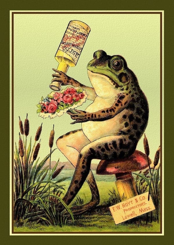 It is Wednesday my dudes