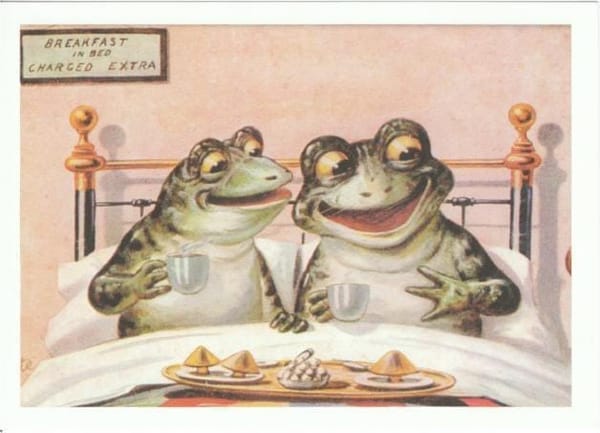 It is Wednesday my dudes