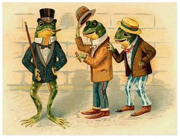 It is Wednesday my dudes 🐸