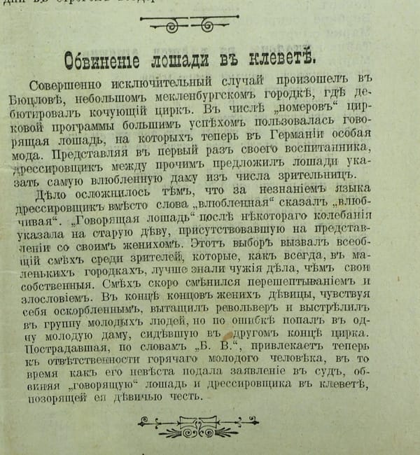 Обвинение лошади в клевете
