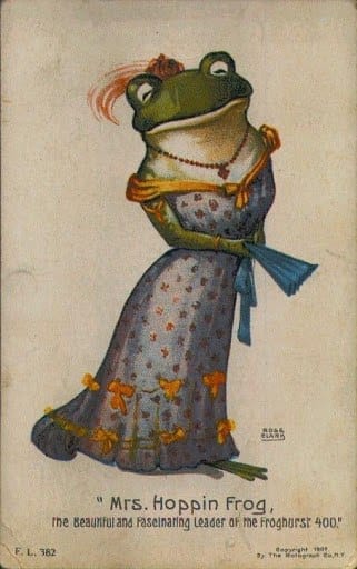 It is Wednesday my dudes 🐸