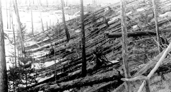 1908: когда небо не спало ночью
