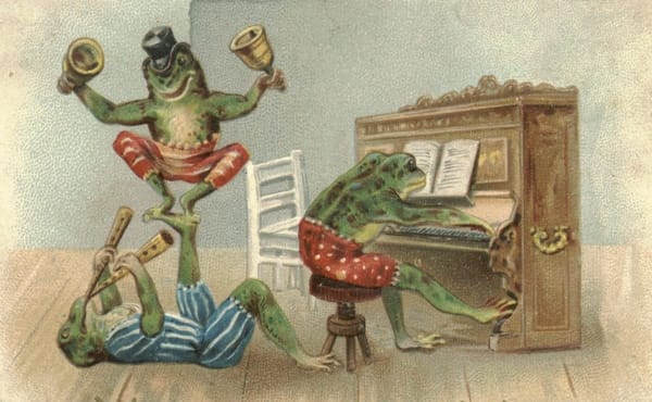 It is Wednesday, my dudes 🐸