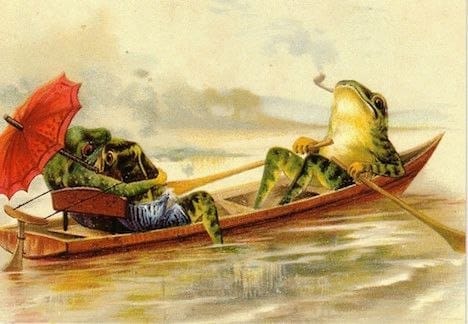 It is Wednesday, my dudes 🐸