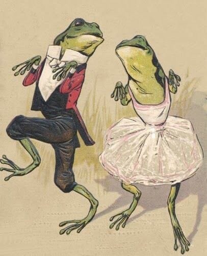 It is Wednesday, my dudes 🐸