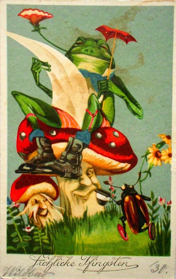 It is Wednesday, my dudes 🐸