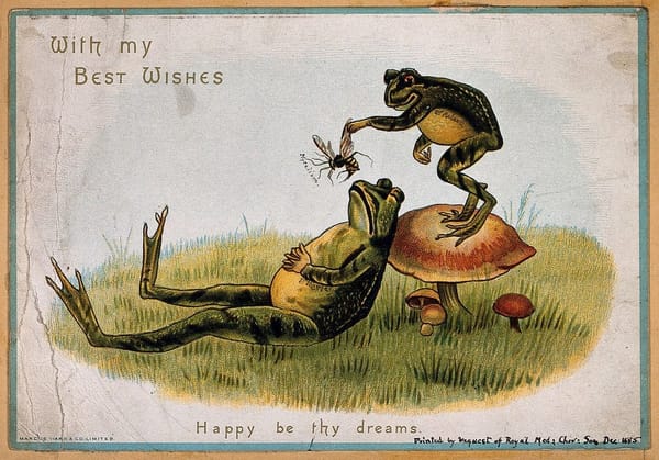 It is Wednesday, my dudes 🐸