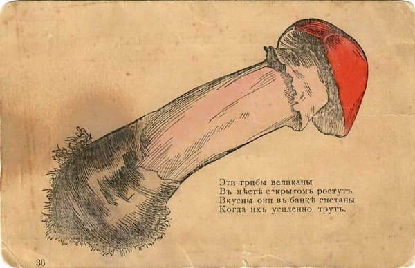 Эти грибы великаны В месте сокрытом растут Вкусны они в банке сметаны Когда их усиленно трут