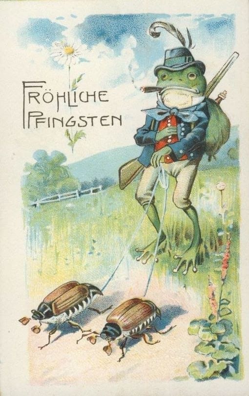 It is Wednesday, my dudes 🐸