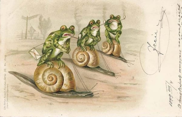It is Wednesday, my dudes 🐸