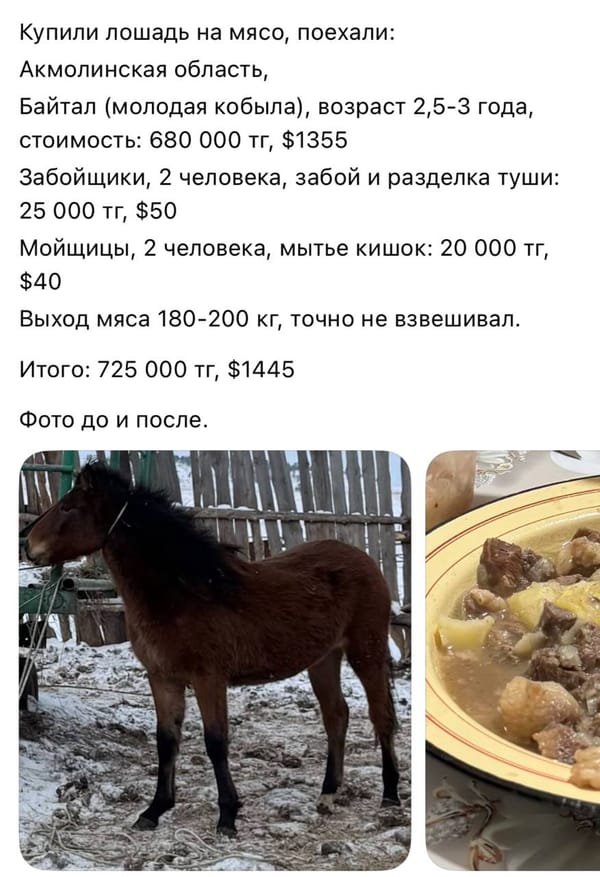 Экономика конины в Казахстане