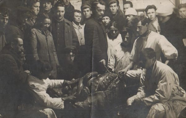 Кафедра цитологии и гистологии СПБГУ 1908 г