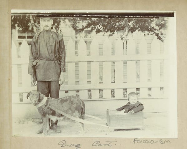 Собачья упряжка, Российская империя, 1903-1904