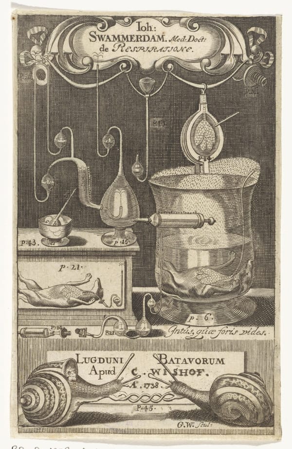 Титульный лист Swammerdam, Johannes