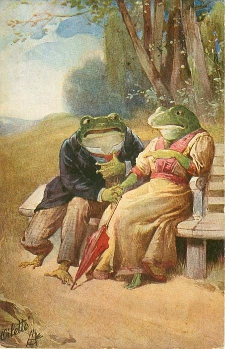 It is Wednesday, my dudes 🐸