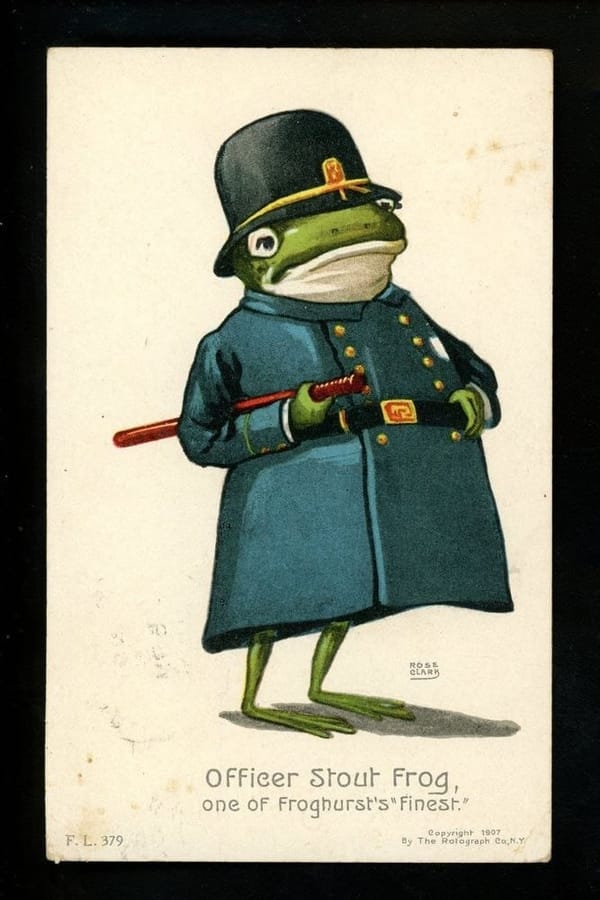 It is Wednesday, my dudes 🐸