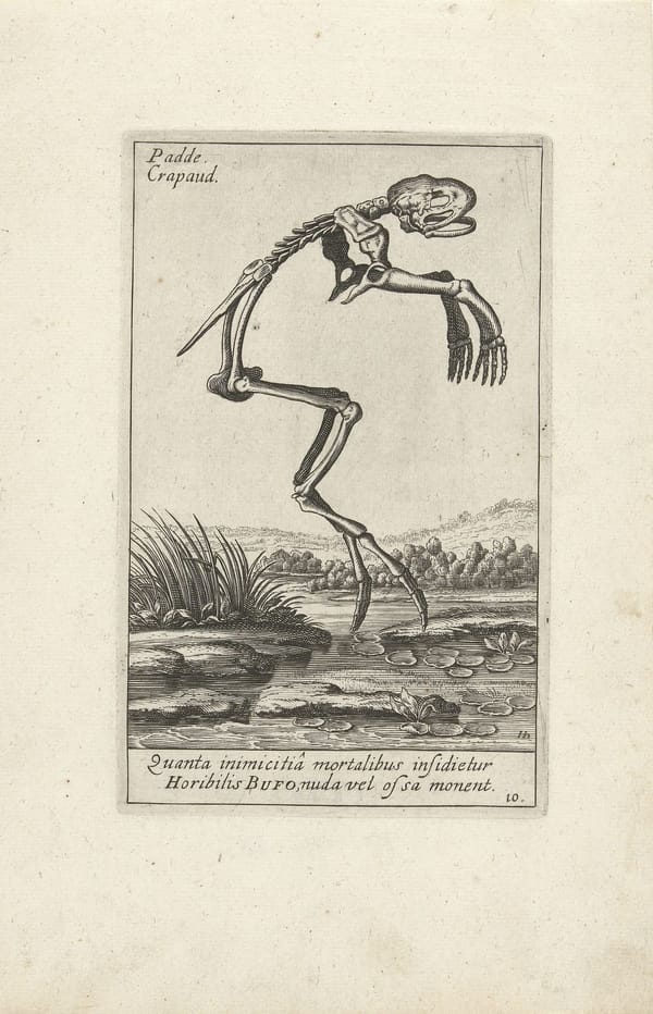 It is Wednesday, my dudes 🐸