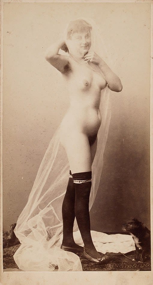 Эротическая фотография девушки с собачкой, нач
