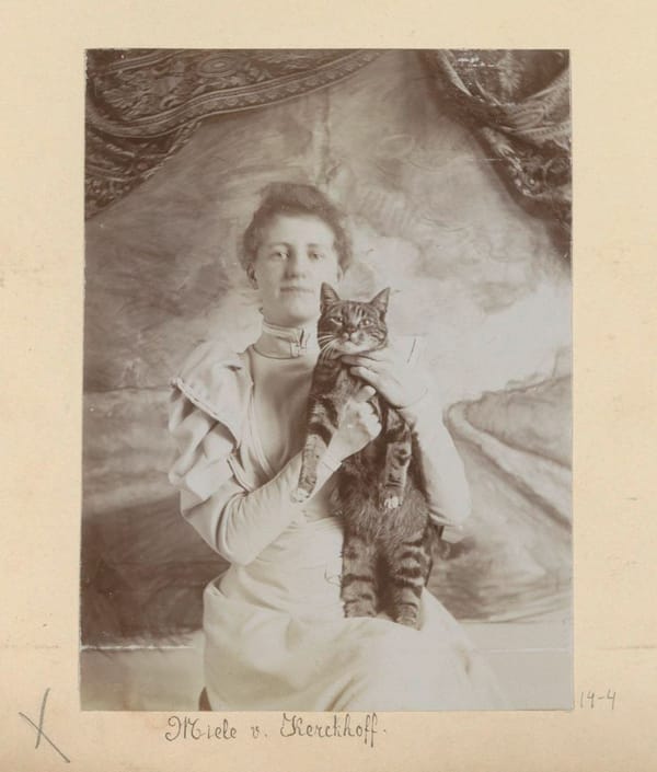 Потрет девушки с котом, Нидерланды, 1890-1894