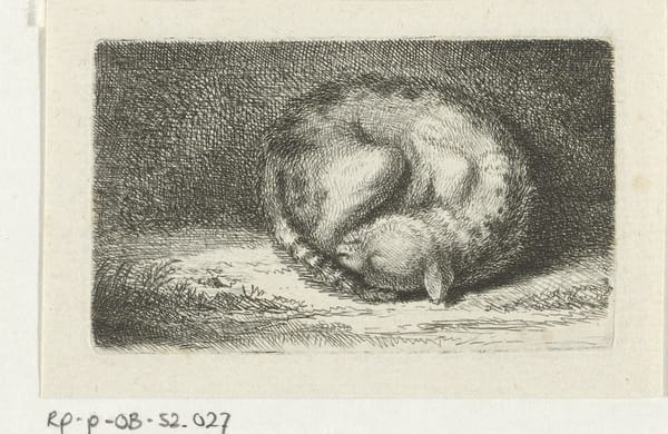 Спящий кот, 1702-1767