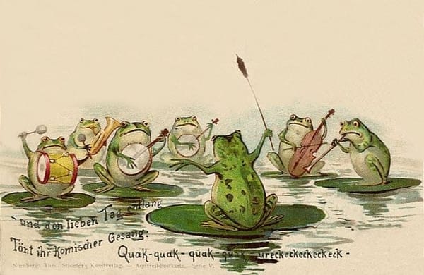 It is Wednesday, my dudes 🐸