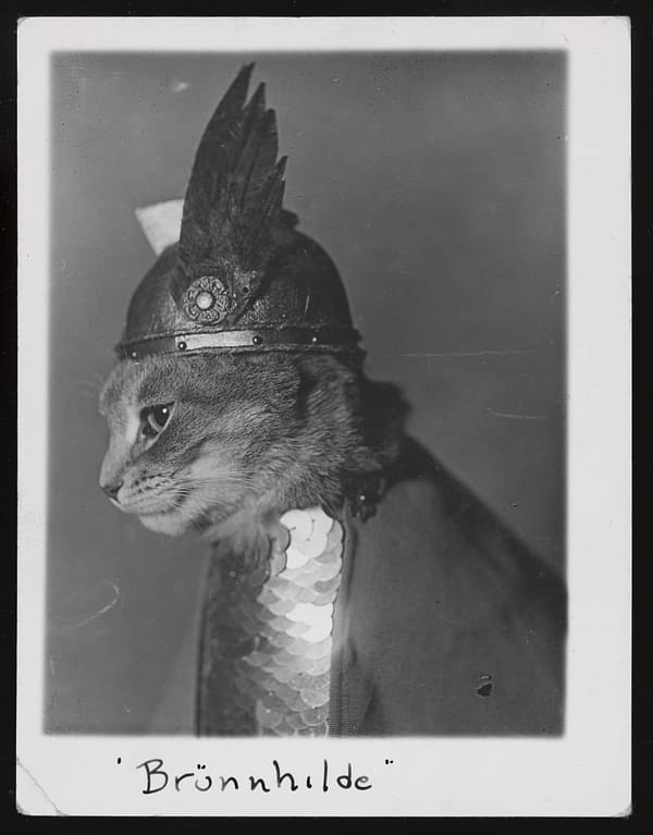 Брунхильда, кошка в викингских доспехах, 1936 год