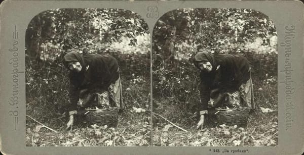 За грибами, 1909-1913