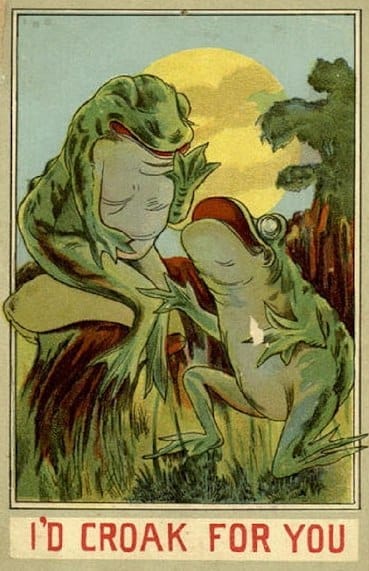It is Wednesday, my dudes 🐸