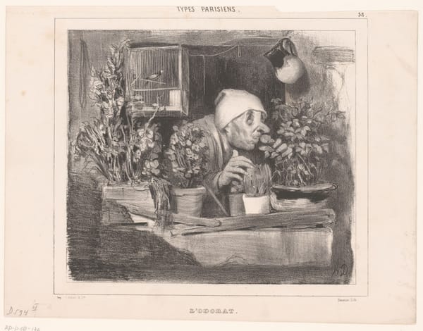 Старик нюхает розу на своем балконе, Оноре Домье, Париж, 1843