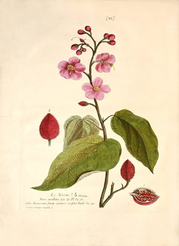 Гравюры из французской книги по ботанике, 1774