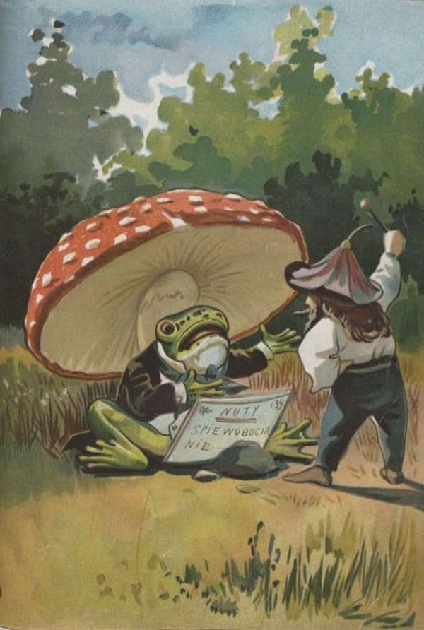 It is Wednesday, my dudes 🐸