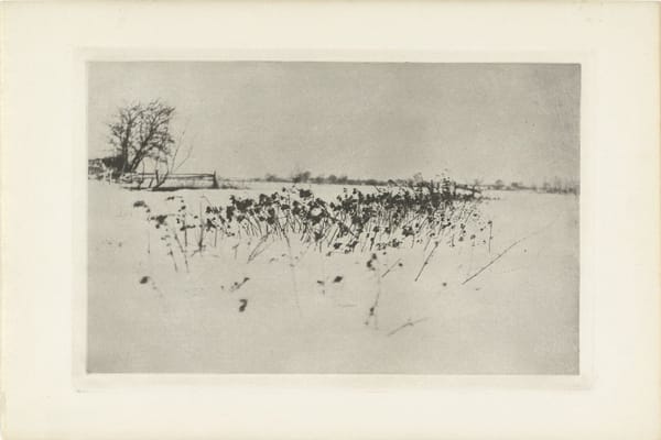 Снежный пейзаж в Британии, Питер Генри Эмерсон, 1890 - 1895
