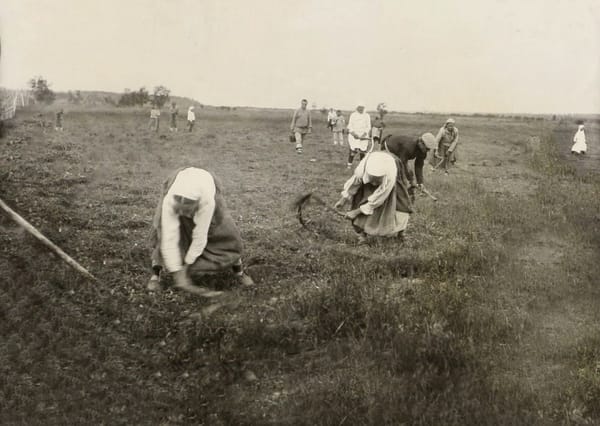 Сенокос в Юринском колхозе, 24 июля 1931