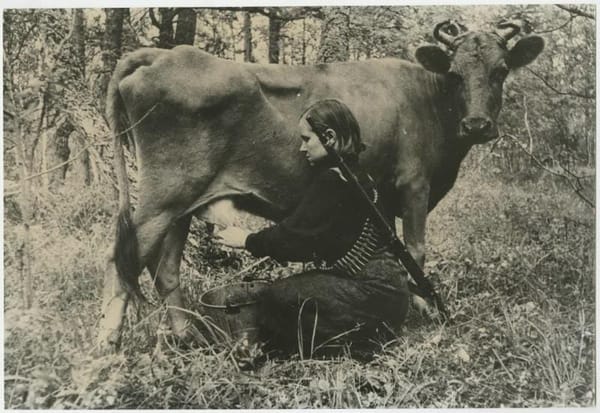 Партизанская кормилица, 1942, фотограф Давидзон Яков Борисович