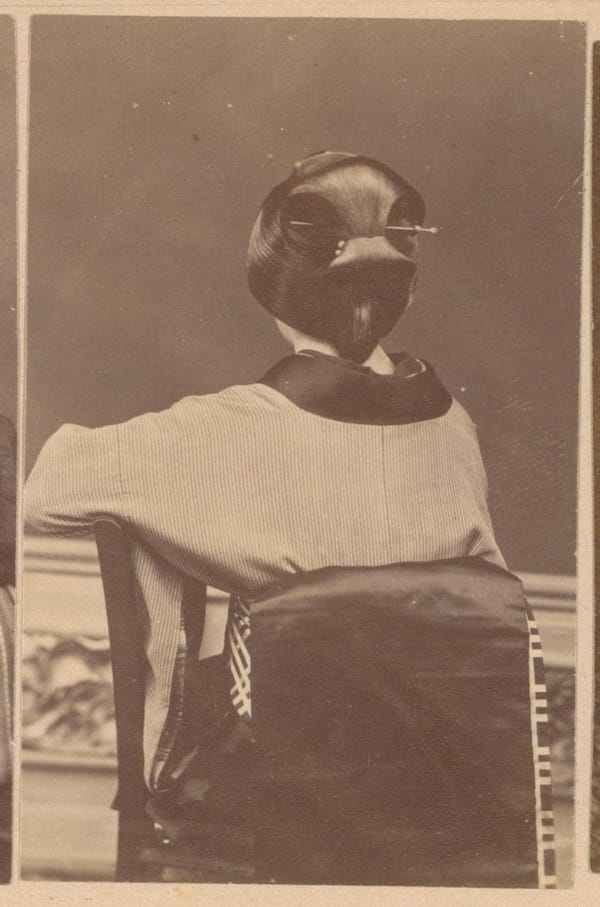 Неизвестная японка, 1885