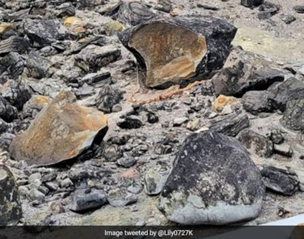 В Японии раскололся знаменитый вулканический валун, который согласно старинной легенде удерживал внутри злобную девятихвостую демоницу-лисицу Тамамо-но-Маэ
