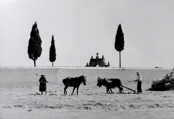 Кастилия, 1957 год