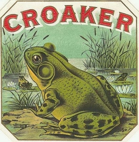 It is Wednesday, my dudes 🐸