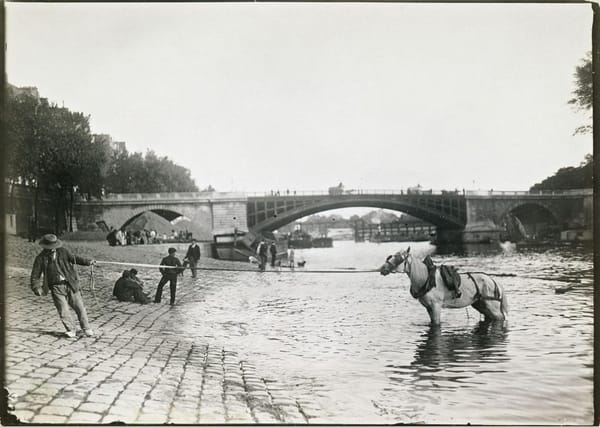 Купание лошади в Сене у моста Сюлли, Париж, 1895-1905