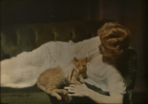 Актриса Энн Мердок с котом, 1924
