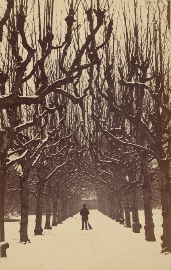 Аллея, Тринити-колледж, Дублин, 1866