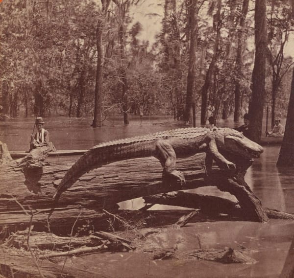 Луизиана, 1870-е