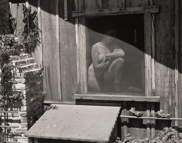 Весна, фотограф Эдвард Уэстон, 1943