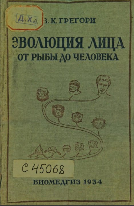 Грегори В